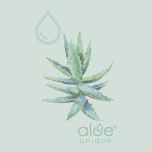 gift vouchers online | Aloe Ferox Skin Products