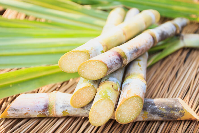 blog_sugarcane